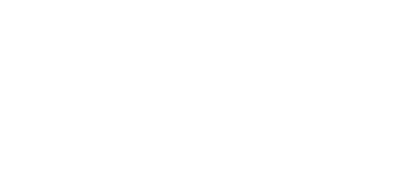 Mary Jane Denzer